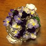 Profile Picture of Betty Pooley (@bettypooley) on Instagram