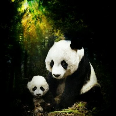 Profile Picture of Daniela Richardson (@Daniela_br03) on Twitter