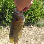 Profile Picture of jesse james loomis (@jessejamesloomis) on Instagram