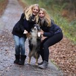 Profile Picture of Hannah Steinhoff (@haensforfriends) on Instagram