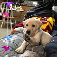 Profile Picture of Matt Mcdavid (@matt-mcdavid-5) on Quora