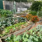 Profile Picture of Christine Gibbs (@Christine-Gibbs) on Facebook