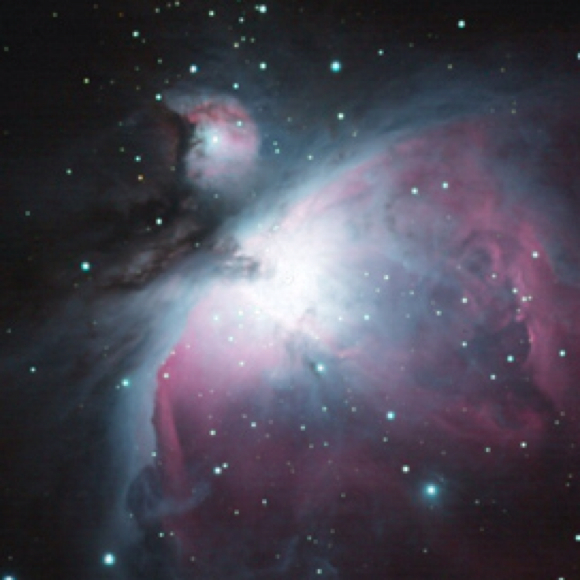 Profile Picture of Robin Flores (@laylarobin) on Poshmark