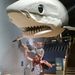 Profile Picture of Josh Birchfield (@viper3553) on Pinterest
