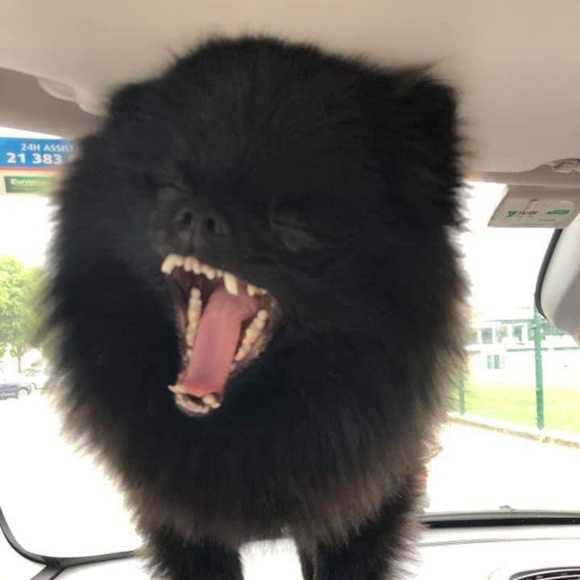 Profile Picture of Jose Sauceda (@sauce956) on Poshmark