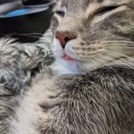 Profile Picture of Jason Eickmann (@jasoneickmann) on Instagram