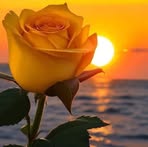 Profile Picture of Candi Miguel (@Candi-Miguel) on Facebook