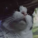 Profile Picture of Nathaniel Hargraves (@Nathaniel-Hargraves) on Facebook