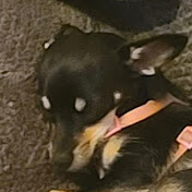 Profile Picture of Tammy Riffe (@tammyriffe) on Youtube