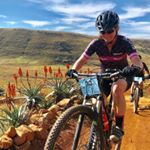 Profile Picture of Monica Collins (@monicaacollins) on Instagram