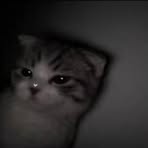 Profile Picture of James Birot (@james.birot.2025) on Facebook