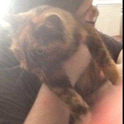 Profile Picture of Catherine Michaelson (@michaelson_c) on Twitter