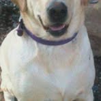 Profile Picture of David Stofferahn (@david.stofferahn) on Facebook