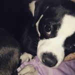 Profile Picture of kaylee simonson (@kaylee.simonson) on Instagram