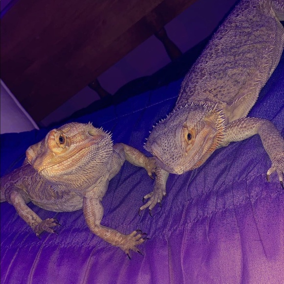 Profile Picture of Jasmine Dahlsten (@jasminedahlsten) on Poshmark