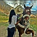 Jesus Raul Fabela Medina - Instagram Profile Picture of Jesus Raul Fabela Medina (@j_fabelamedina) on Instagram