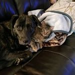 Profile Picture of Eric Nettles (@eric.nettles.948) on Instagram