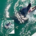 Profile Picture of Gary Hadden (@gary.hadden.5) on Instagram