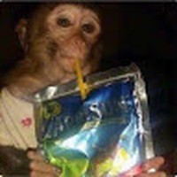 Luke Armelagos - Quora Profile Picture of Luke Armelagos (@luke-armelagos) on Quora