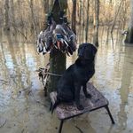 Profile Picture of Tyler Pittman (@pittman8085) on Instagram