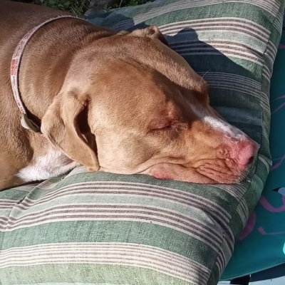 Profile Picture of Tracey Funk (@traceyfunk6) on Twitter