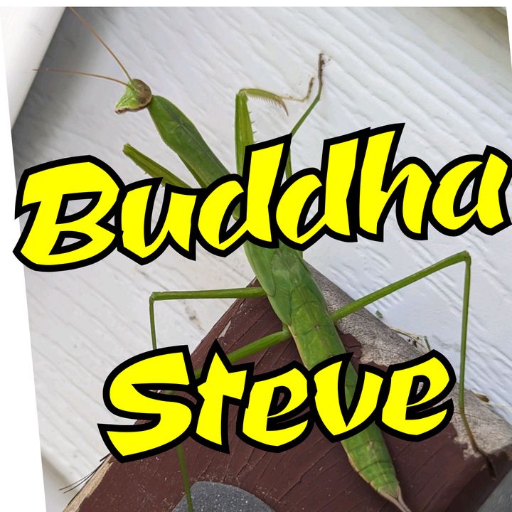 Profile Picture of $n3@Zy (@stevebuddha) on Tiktok