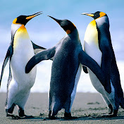 Profile Picture of Nathan Martens (@nathanmartens7422) on Youtube