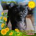Profile Picture of Ozzie Pendleton (@ozzie.pendleton.39) on Facebook