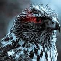 Profile Picture of Christopher Stamper (@christopher-stamper-7) on Quora