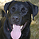 Profile Picture of Mike Slater (@mike slater) on Flickr