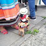 Profile Picture of Luis Criollo (@luiscriollo.98) on Instagram