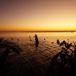 Profile Picture of Justin Hoffmann (@justin_hoffmann00) on Instagram