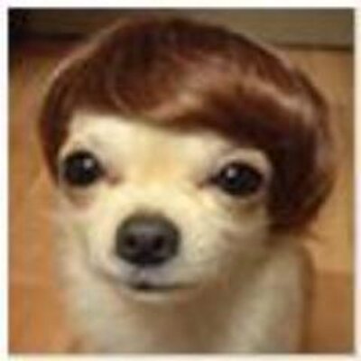 Profile Picture of Thomas Schell (@thustle) on Twitter