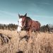 Profile Picture of Mattie Johnson (@maddielainjohns) on Pinterest