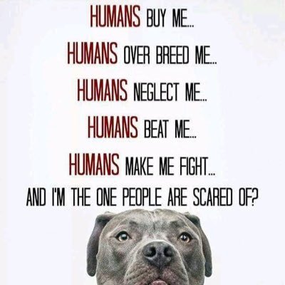 Profile Picture of Lori George (@pl9071) on Twitter