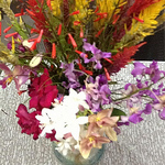 Profile Picture of Aurora Padron (@padron_aurora) on Flickr