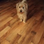 Profile Picture of Ernest Giddens (@ernest.giddens.35) on Facebook