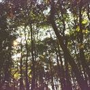 Profile Picture of Chloe Holgate (@c_holgate) on Pinterest