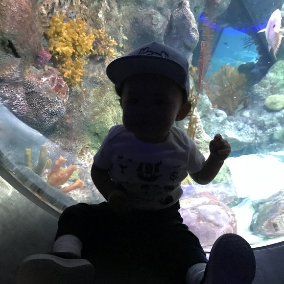 Profile Picture of Sophia Jaramillo (@msmobbin) on Poshmark