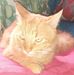 Profile Picture of David Labeau (@david.labeau.315) on Facebook