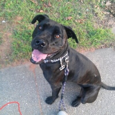 Profile Picture of Kim (@MsFlossBoss) on Twitter