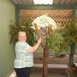 Profile Picture of Vikki Harrison (@vikkiharrison) on Instagram