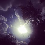 Profile Picture of Bill Hanson (@billhanson054) on Instagram