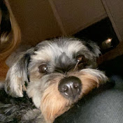 Profile Picture of Jesse Fuller (@jessefuller8748) on Youtube