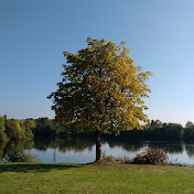 Profile Picture of Simone Holder (@SimoneHolder) on Youtube