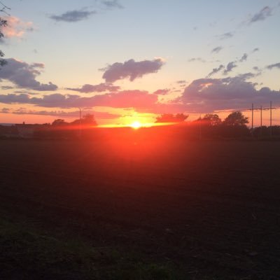 Profile Picture of Joshua Tavares (@josh_tav2k) on Twitter