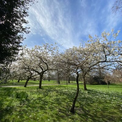 Profile Picture of Stephen Behrmann (@StephenBehrman3) on Twitter