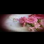 Profile Picture of Kiran Farooq (@areesha.arsal.73) on Instagram