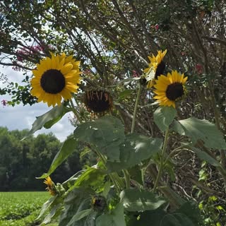 Profile Picture of Christina Hooks (@christina_hooks) on Instagram