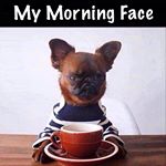 Profile Picture of Peter Bothamley (@prbkja) on Instagram